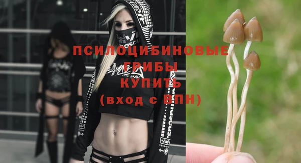 бутират Бородино
