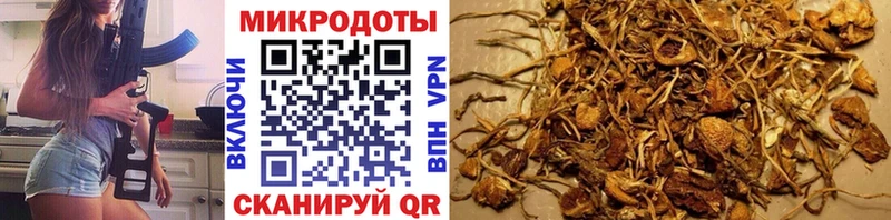 Псилоцибиновые грибы Cubensis Бронницы