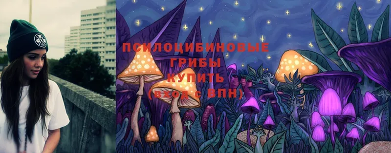 ссылка на мегу как зайти  Бронницы  Псилоцибиновые грибы Cubensis 