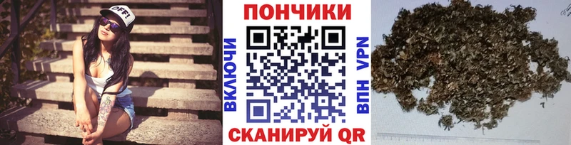 как найти закладки  Бронницы  Шишки марихуана SATIVA & INDICA 
